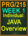 PRG/215 JAVA Overview